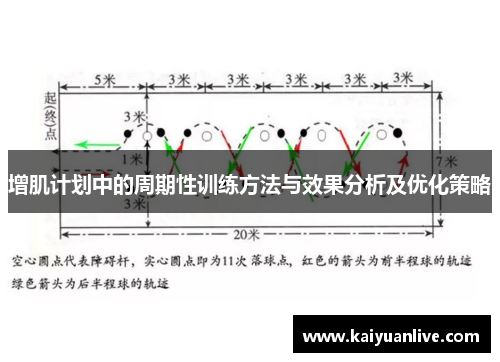 增肌计划中的周期性训练方法与效果分析及优化策略